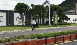 南充市新闻爆料,揭秘事件背后真相