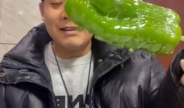 网红夫妻吃瓜图片,揭秘娱乐圈幕后真相