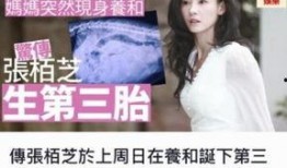 娱乐圈八卦爆料张柏芝视频播放,娱乐圈风波再起